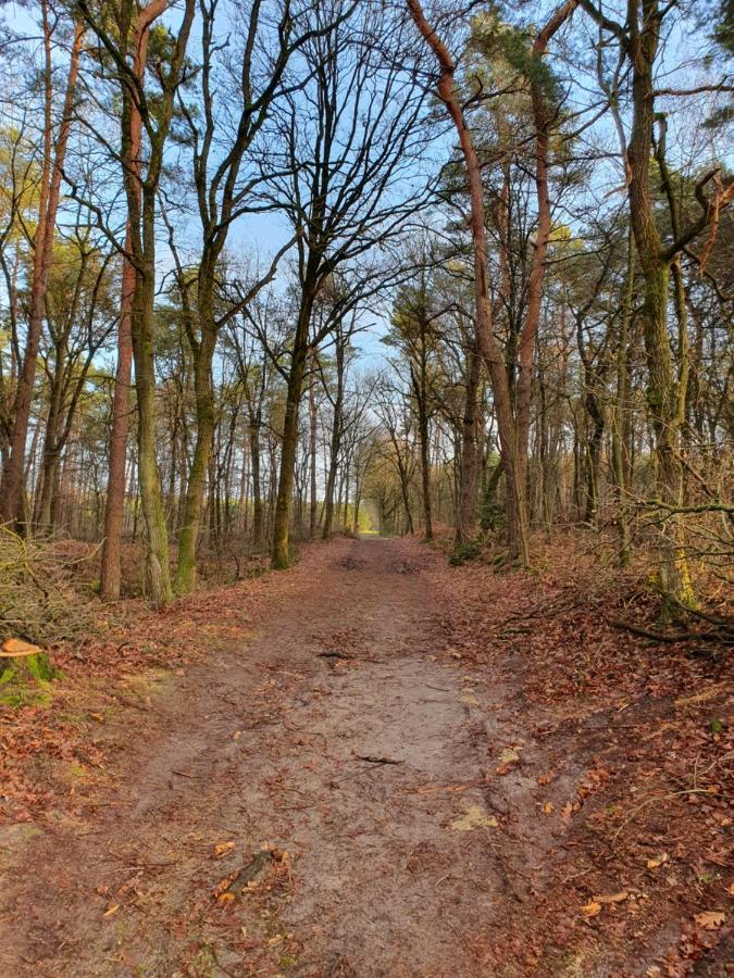 B&B De Nieuwenhof 'De Voorkamer' Melderslo Bagian luar foto